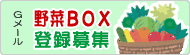 �yG�߁[����BOX�z�o�^��W