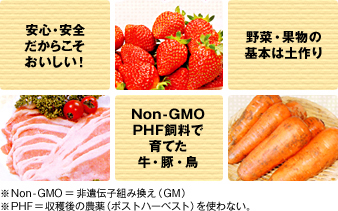 �¿������������餳��������������ڡ���ʪ�δ��ܤ��ں�ꡣNon-GMO��PHF�����ǰ�Ƥ������ڡ��ܡ���Non-GMO����������Ȥߴ�����GM�ˢ�PHF����ϸ�������ʥݥ��ȥϡ��٥��ȡˤ�Ȥ�ʤ���