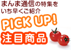 �s�b�N�A�b�v�I���ڏ��i