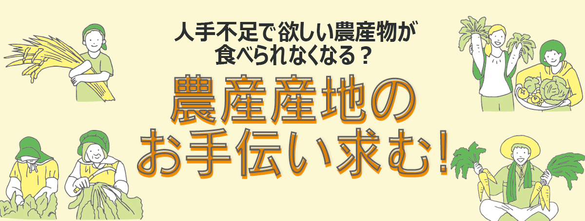 農産産地のお手伝い求む！