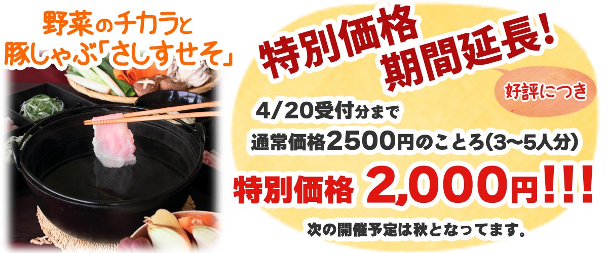 野菜のチカラ豚しゃぶ「さしすせそ」好評につき特別価格&開催期間延長!4/20受付分まで通常2500円のところ特別価格2000円