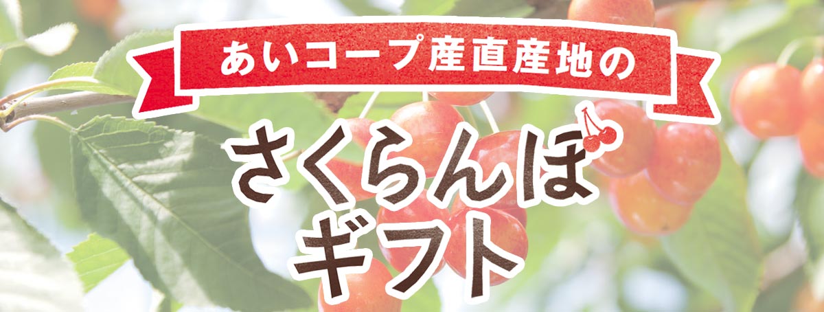あいコープ産直産地のさくらんぼギフト
