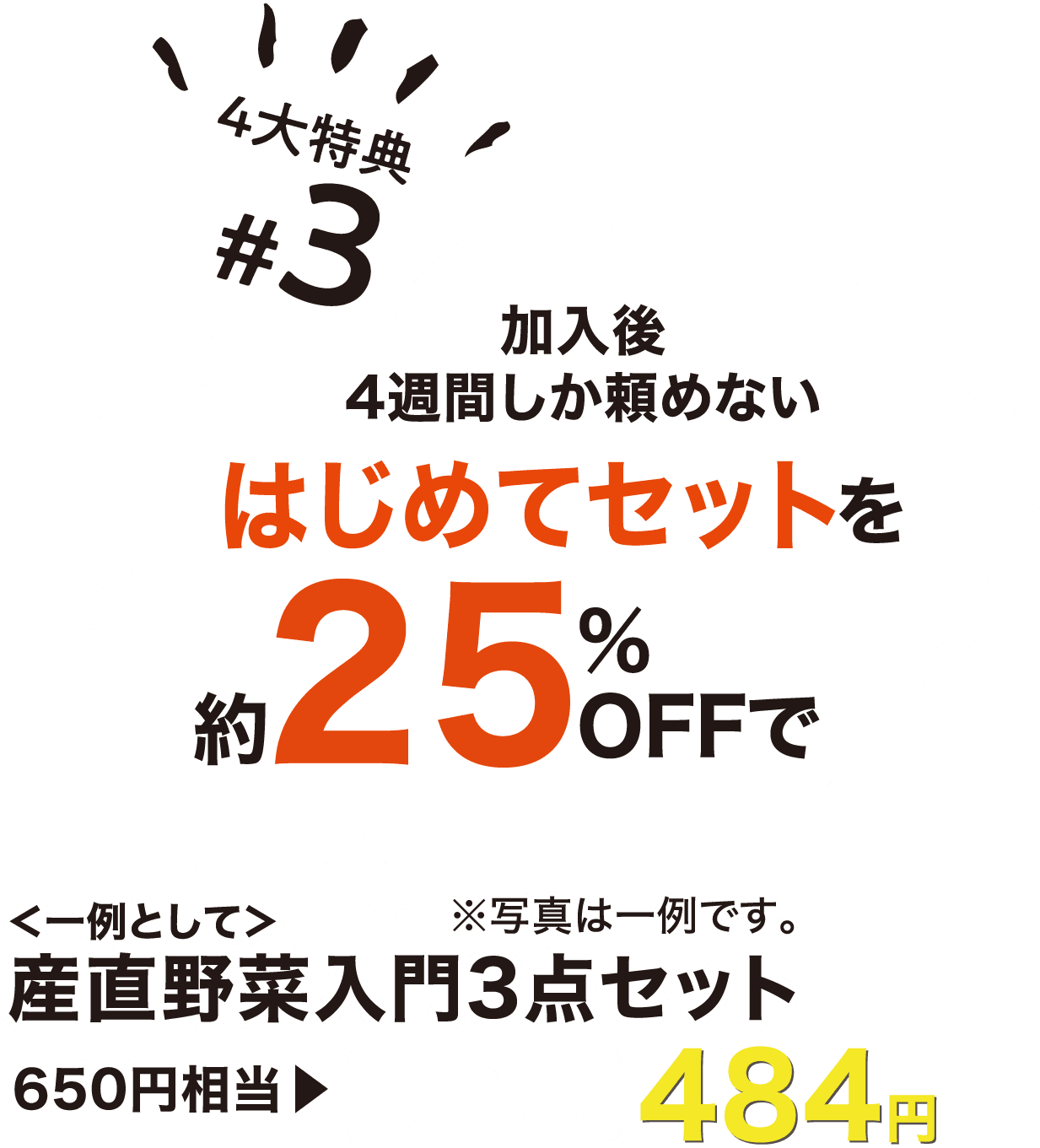 4大特典 #3 加入後4週間しか頼めないはじめてセットを約25%オフで