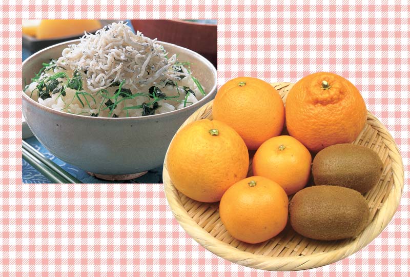 ふっくらしらす干し・季節の柑橘