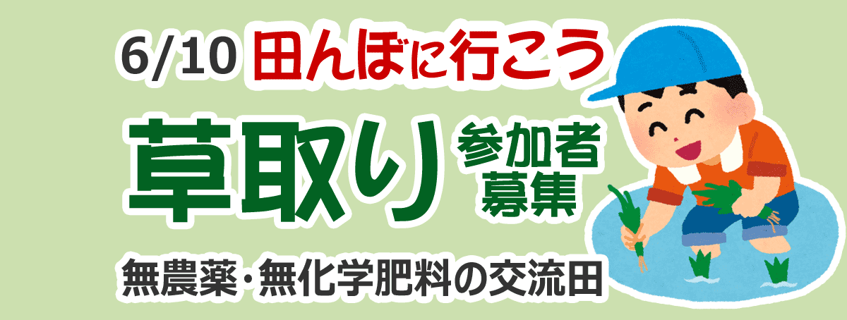 田んぼに行こう！草取り