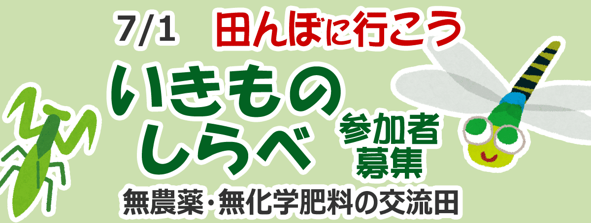 田んぼに行こう！いきものしらべ