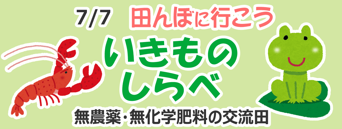 田んぼに行こう！いきものしらべ