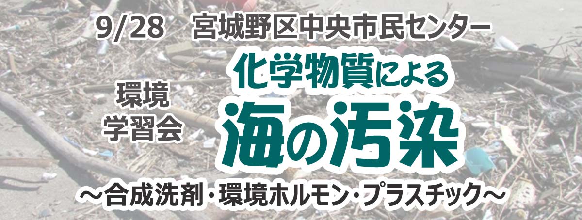 環境学習会 化学物質による海の汚染