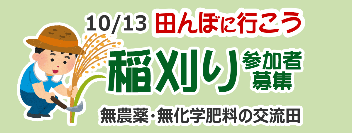 田んぼに行こう！稲刈り