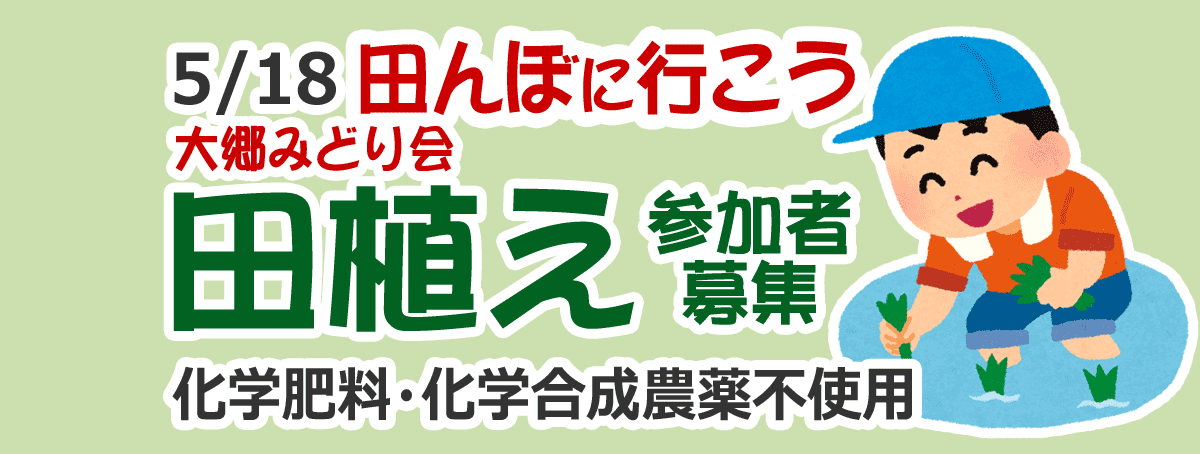 田んぼに行こう！2019 田植え