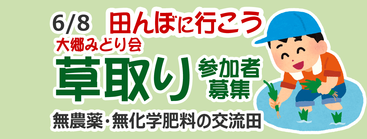 田んぼに行こう！2019 草取り