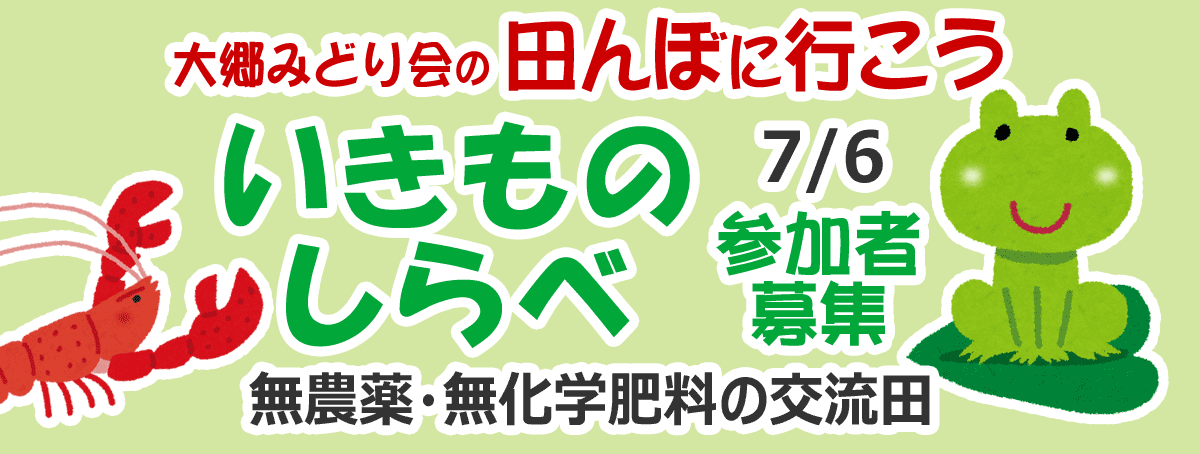 田んぼに行こう！2019いきものしらべ