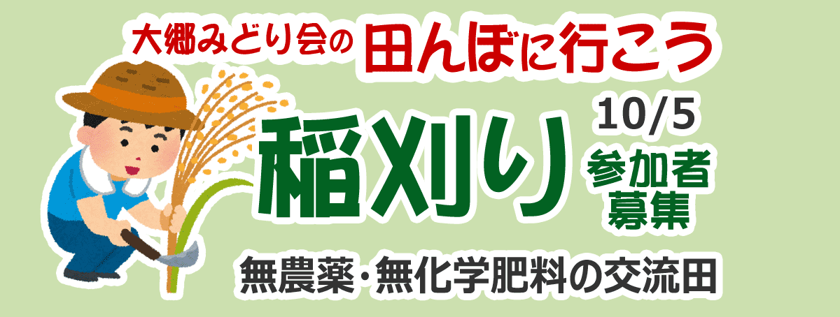 田んぼに行こう！2019稲刈り