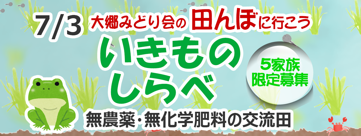 田んぼに行こう！2021いきものしらべ