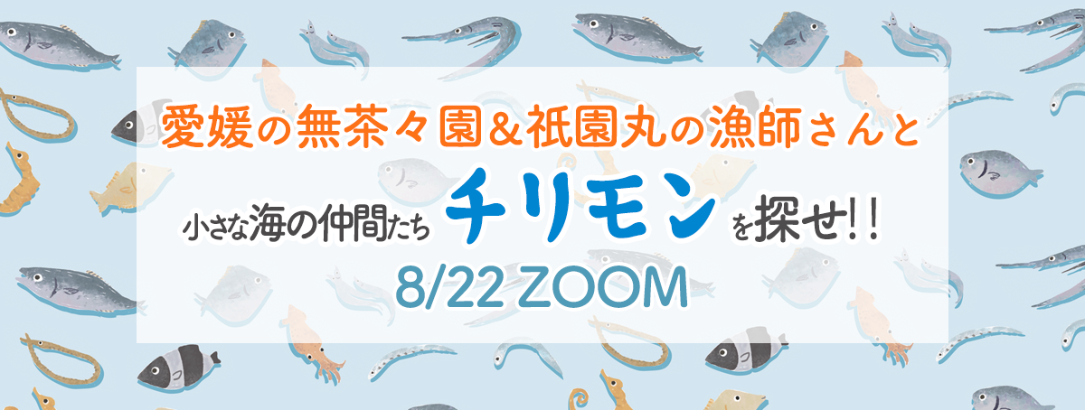 小さな海の仲間たち「チリモン」を探せ!!