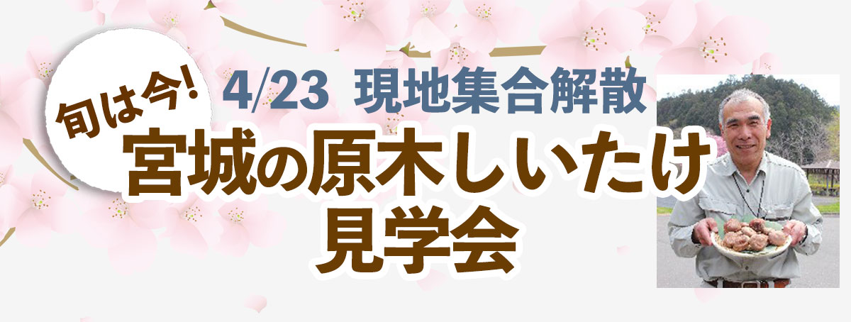 旬は今！宮城の原木しいたけ見学会