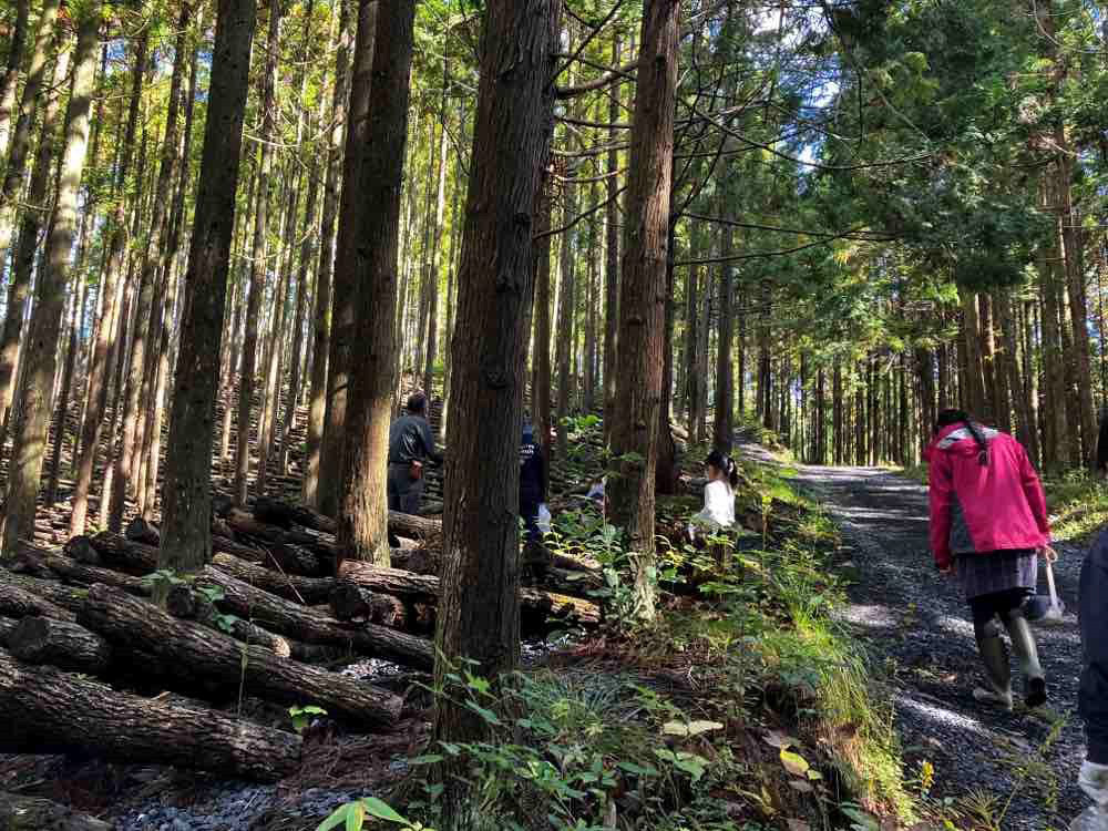 原木しいたけ圃場