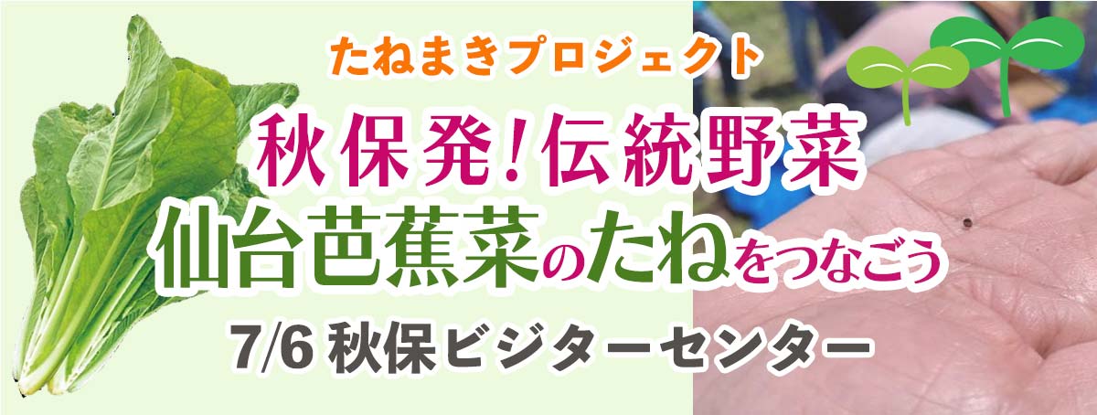 2025年7月6日 秋保発!伝統野菜 仙台芭蕉菜のたねをつなごう