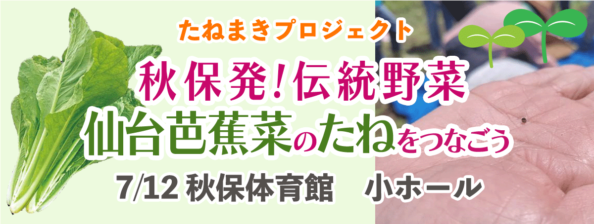 秋保発!伝統野菜仙台芭蕉菜のたねをつなごう