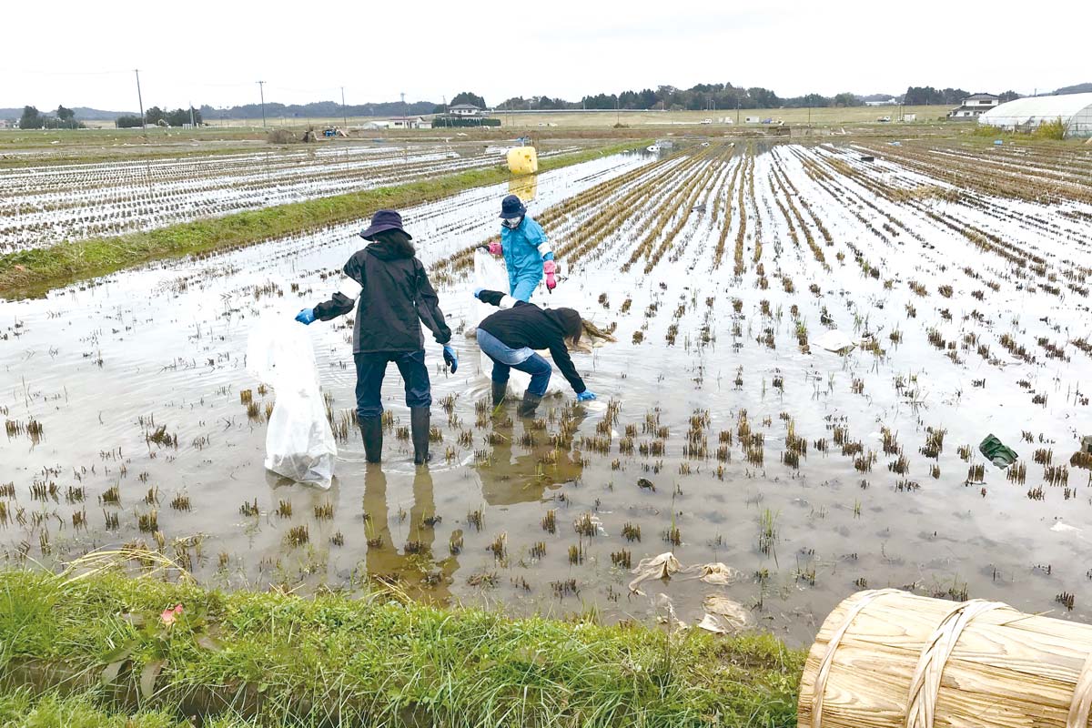組合員による復興支援