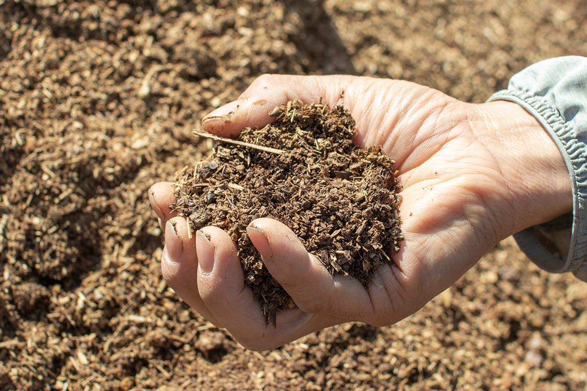 方波見メロン 土づくり