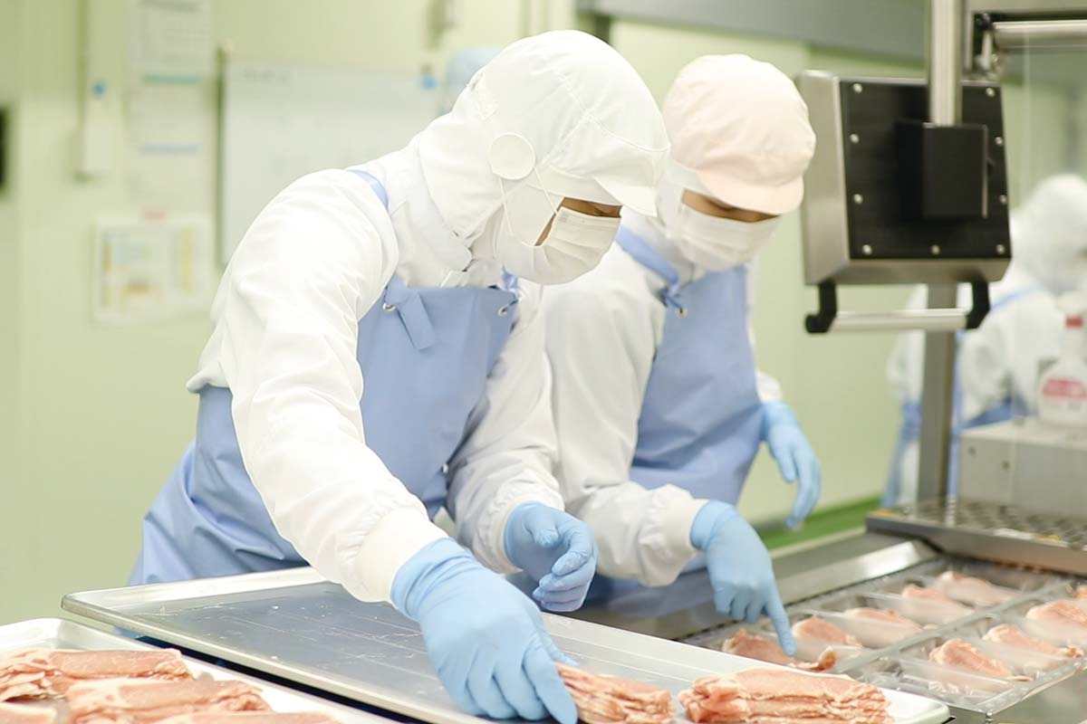 製造作業の様子