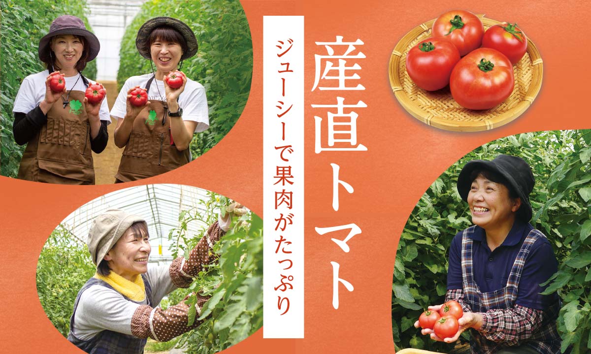 ジューシーで果肉がたっぷり 産直トマト