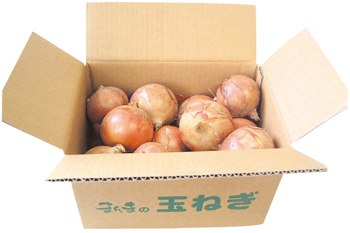 士別農園のトライ・玉ネギ5kg