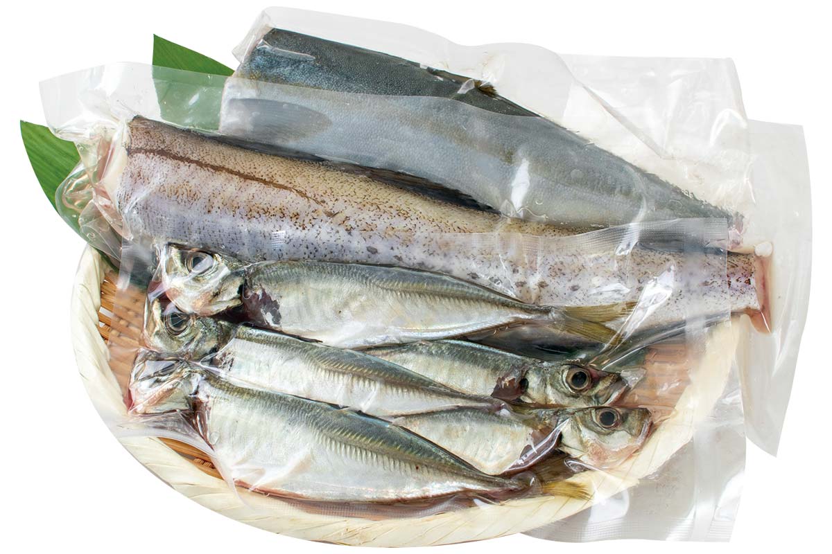 丸友しまかの鮮魚セット(下処理済み)