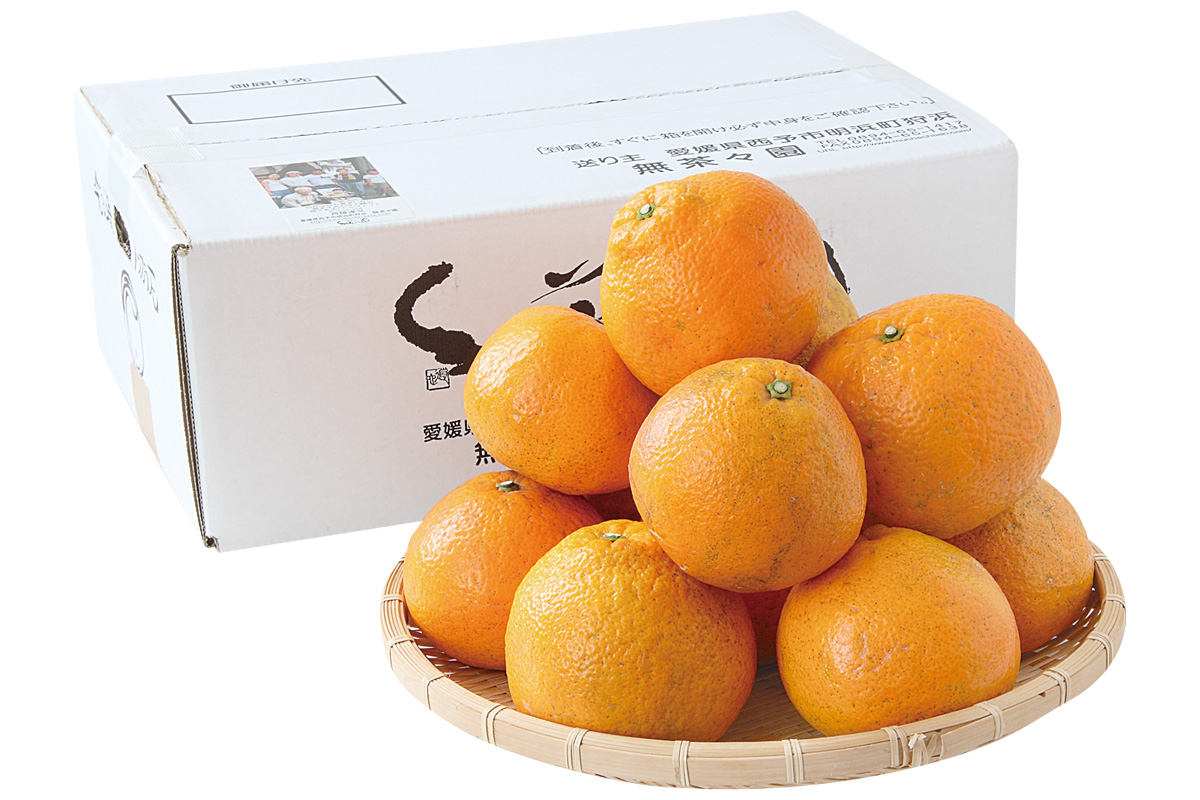 箱・無茶々園の伊予柑3kg