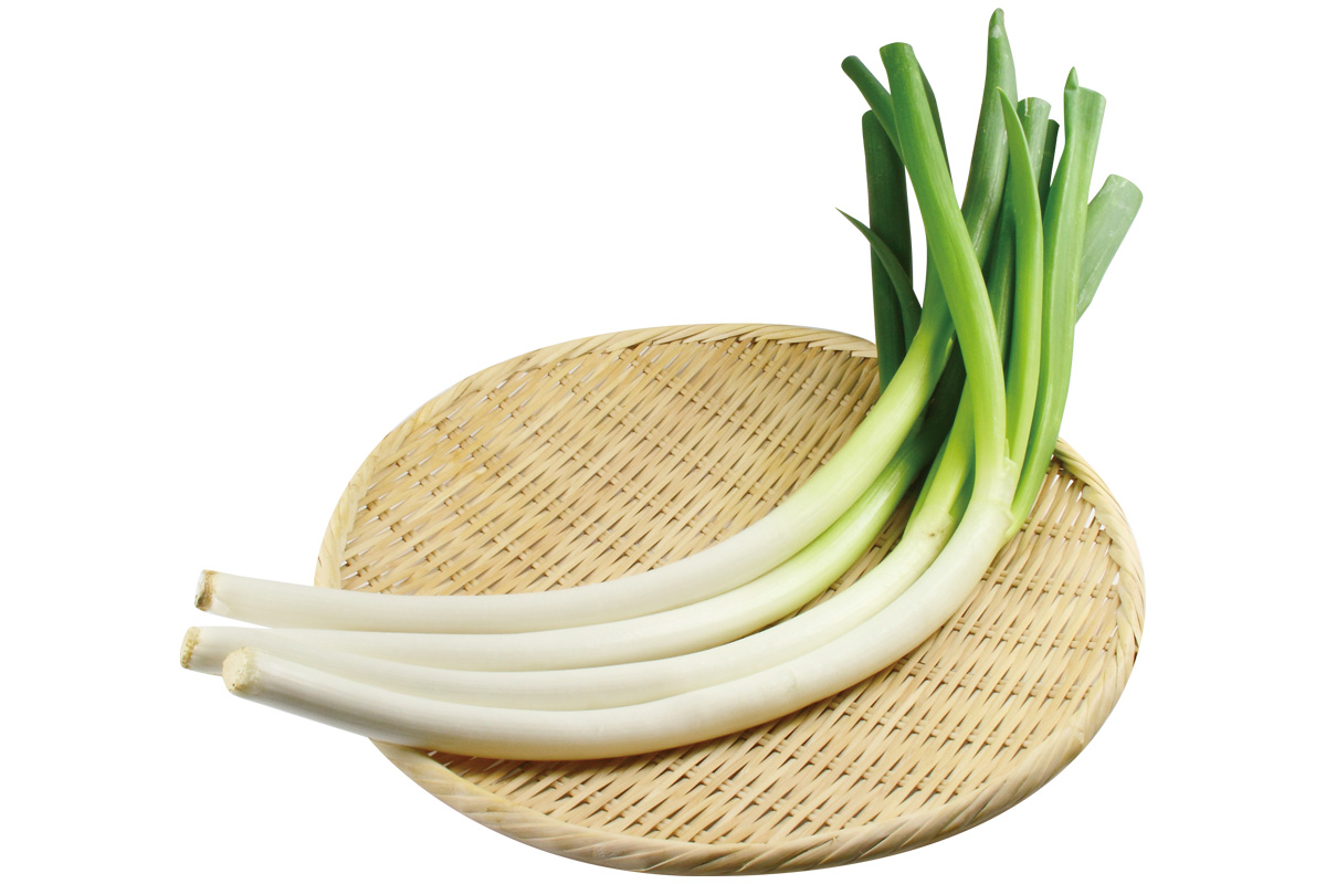 宮城のトライ・曲がりむきネギ