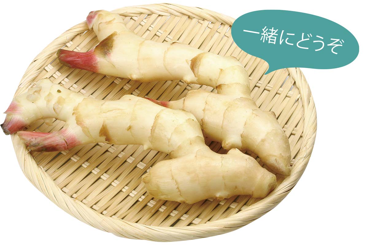 一緒にどうぞ 新しょうが