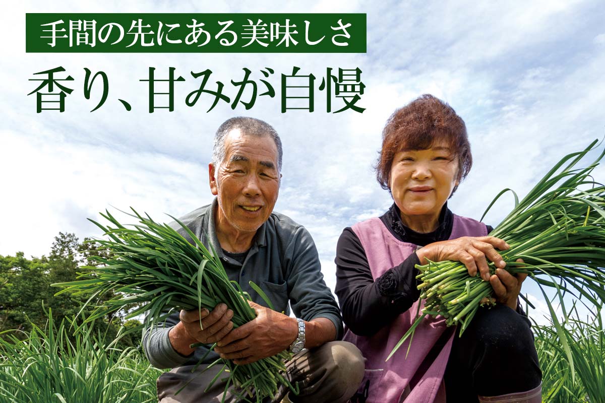 手間の先にある美味しさ香り、甘みが自慢~トライ・ニラ~