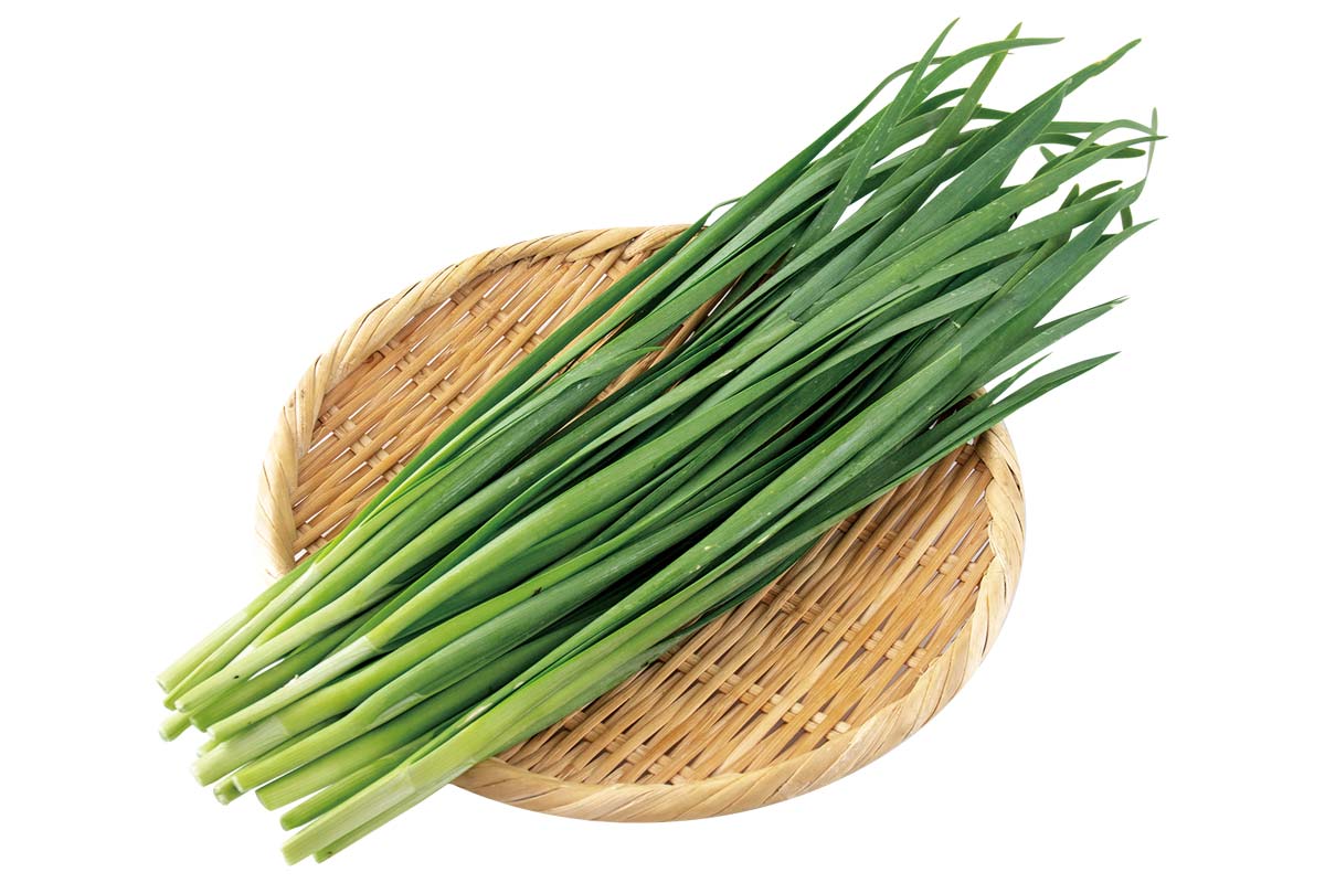 トライ・ニラ100g