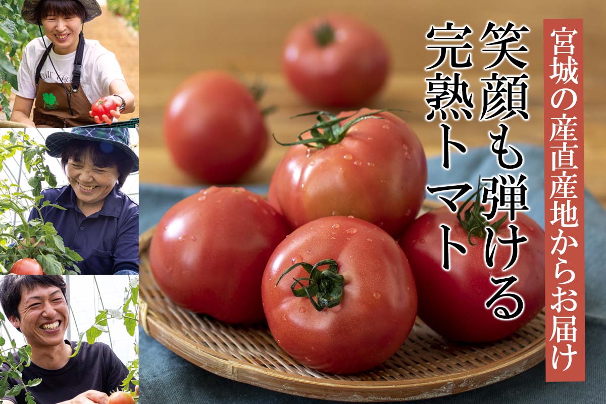 宮城の産直産地からお届け。笑顔も弾ける完熟トマト