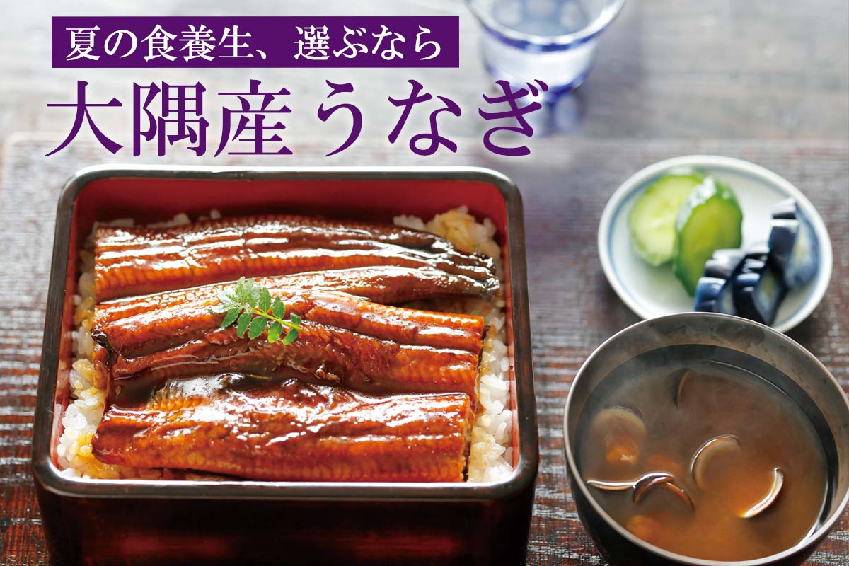 夏の食養生、選ぶなら 大隅産うなぎ