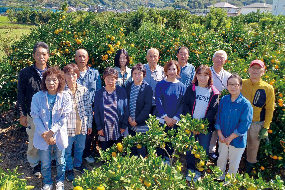 さんまる柑橘同志会の皆さん