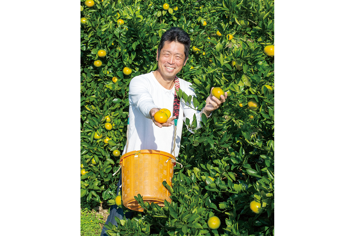 さんまる柑橘同志会の波床彰文さん