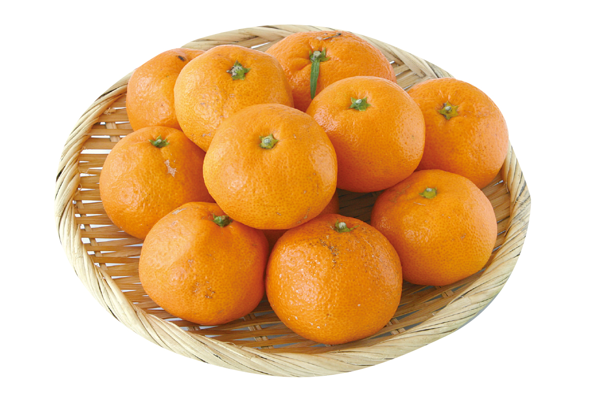 さんまるの温州みかん８００ｇ