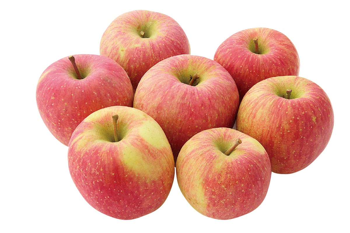 徳用・天童の葉取らずふじ2kg