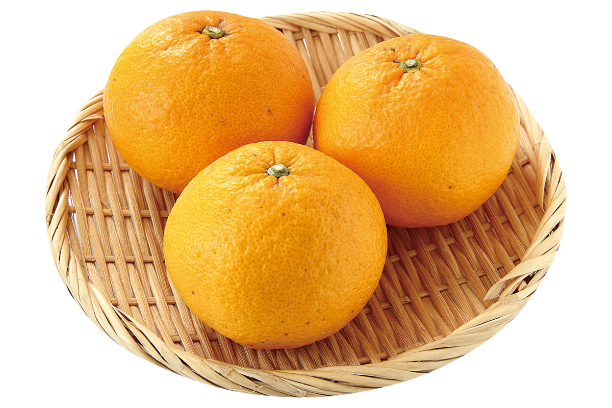 きばるのトライ・甘夏3個