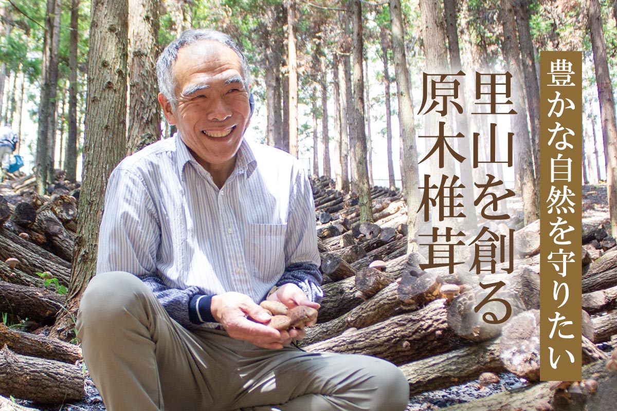 豊かな自然を守りたい 里山を創る原木椎茸~宮城の乾しいたけ(原木栽培)~