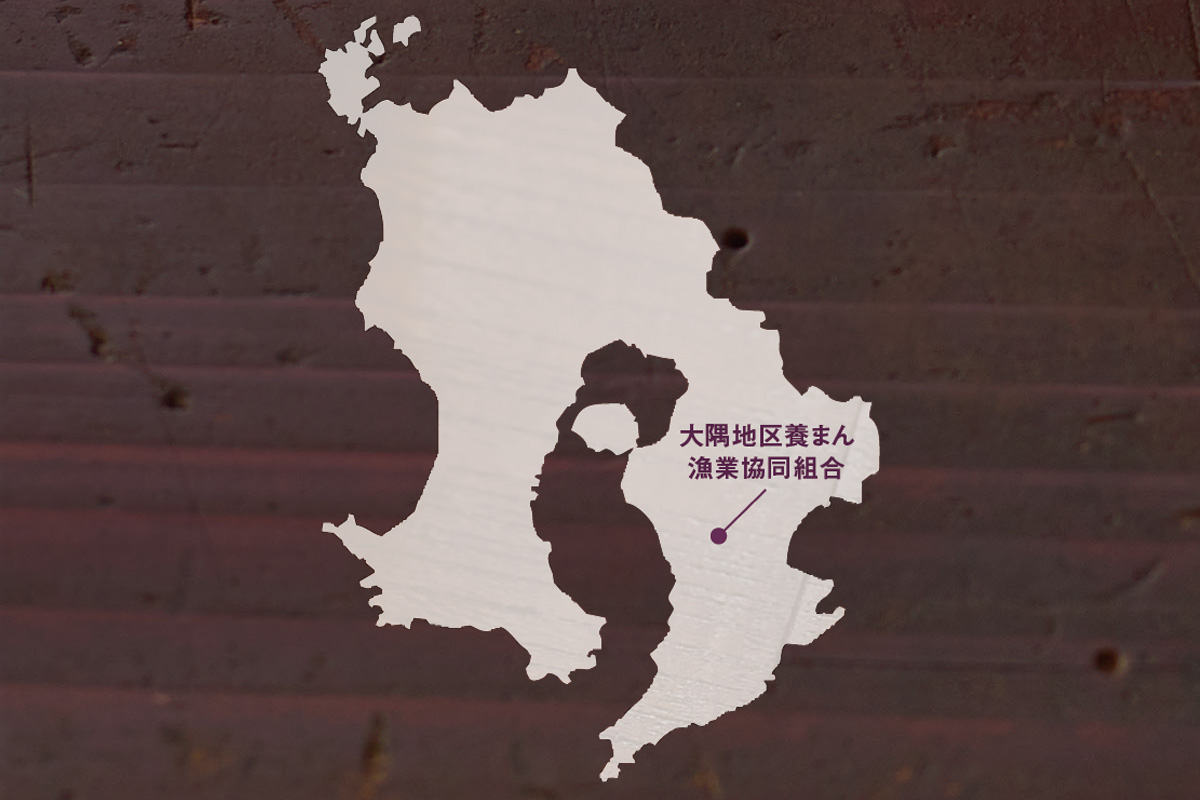 大隅地区養まん漁協組合