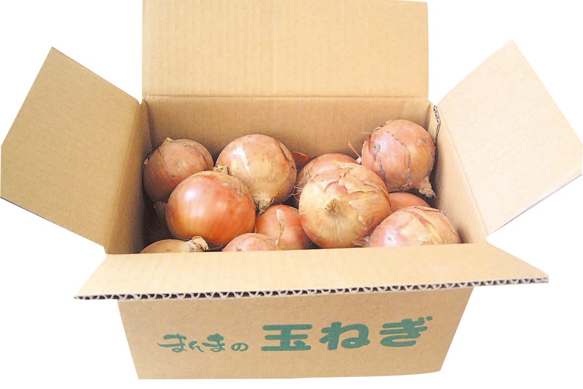 士別農園のトライ・玉ネギ5kg
