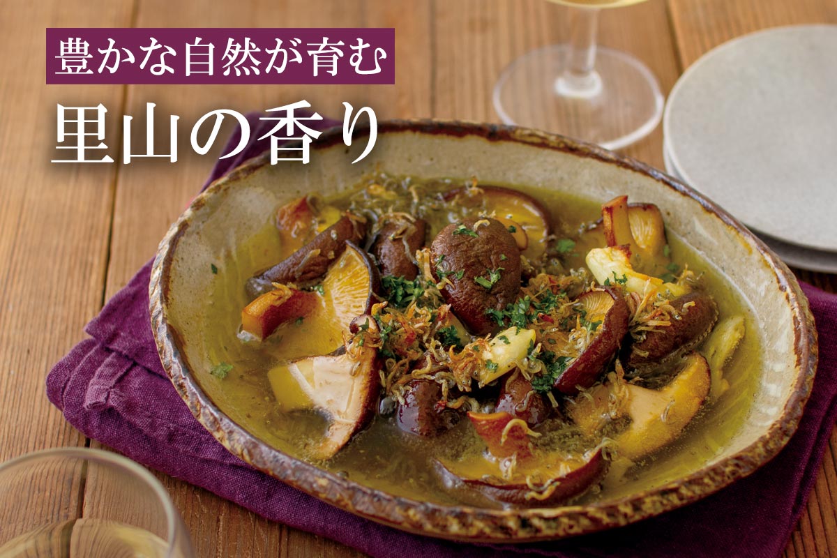 豊かな自然が育む 里山の香り~生椎茸(原木栽培)~