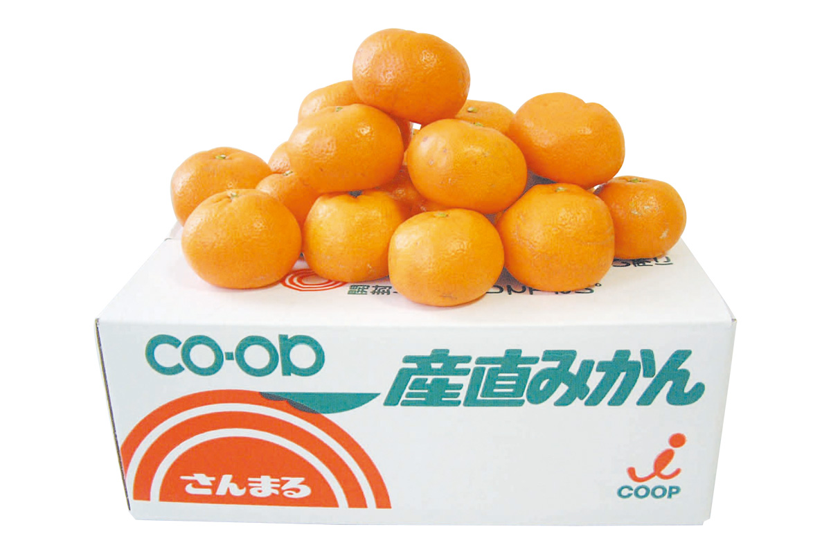 箱・さんまるの温州みかん5kg
