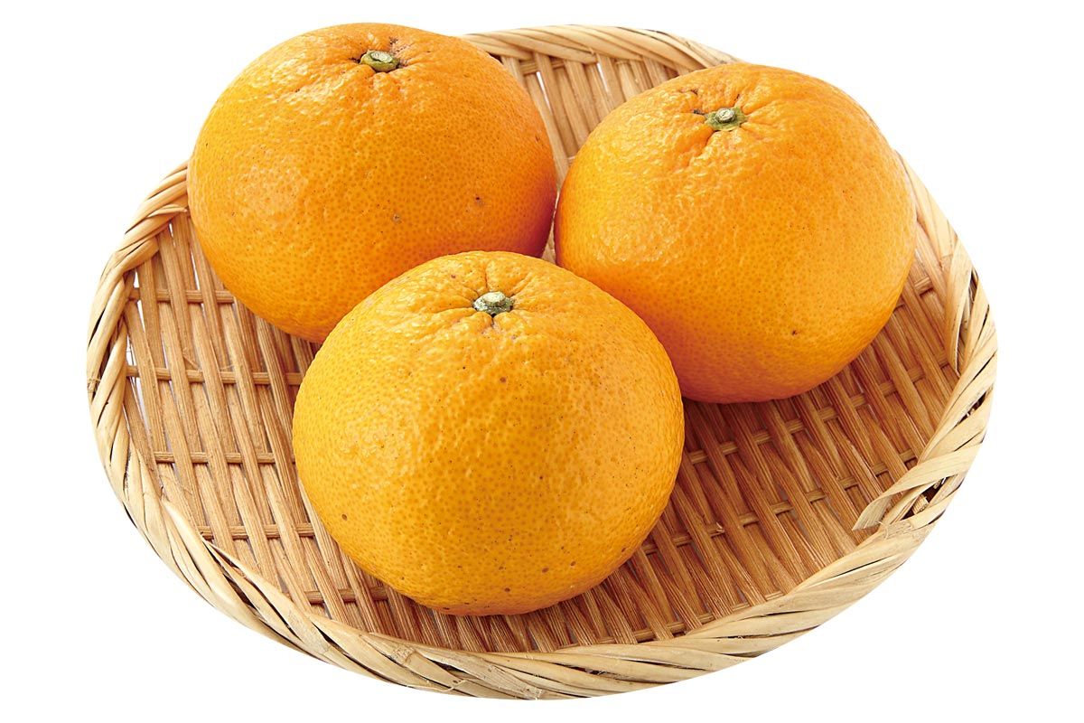 きばるのトライ・甘夏3個