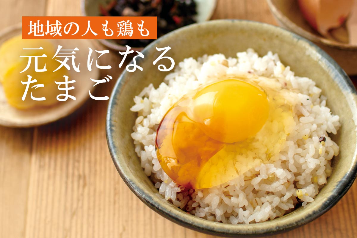 地域の人も鶏も 元気になるたまご~平飼いこめたまご~