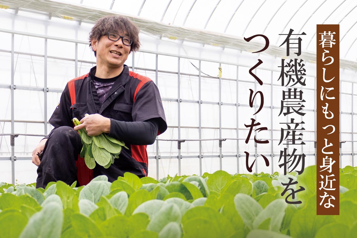 暮らしにもっと身近な 有機農産物をつくりたい~みどり会の有機小松菜~