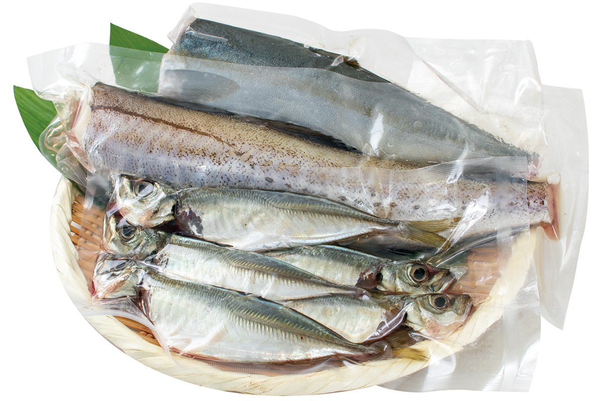 丸友しまかの鮮魚セット(下処理済み)